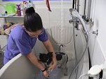 2012-10-10 09.16.53.jpg